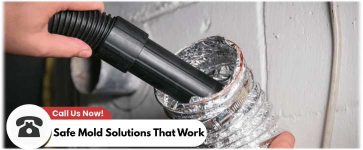 Air Duct Mold Removal in Grand Prairie