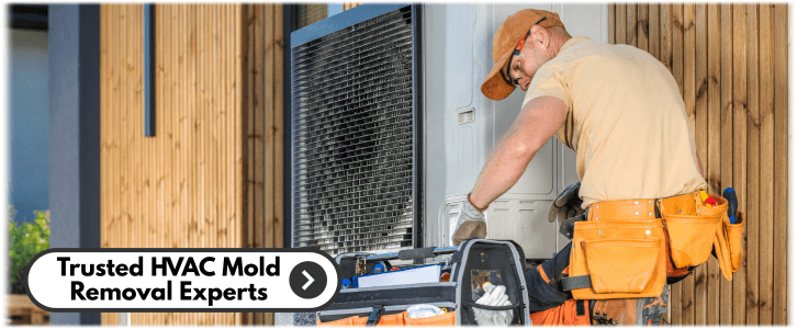 HVAC Mold Removal Grand Prairie